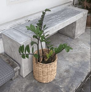 ม้านั่งหน้าบ้าน โมเดิร์น